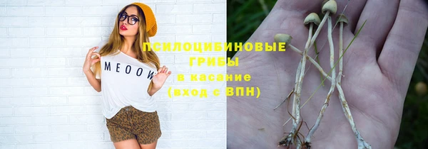 спайс Арсеньев
