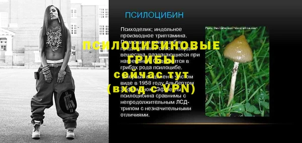 спайс Арсеньев