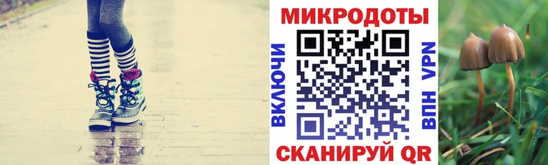 Псилоцибиновые грибы мицелий  дарнет шоп  Суоярви 